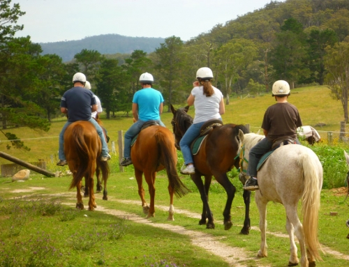 Horseback riding
