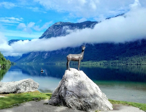 Natural attractions in the vicinity