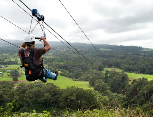 Zipline